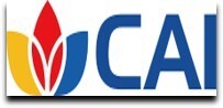 CAI Machine Group Logo