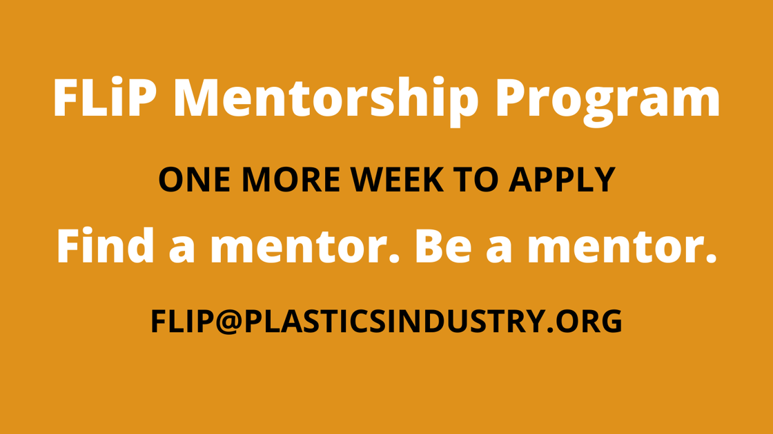 Mentorship 2
