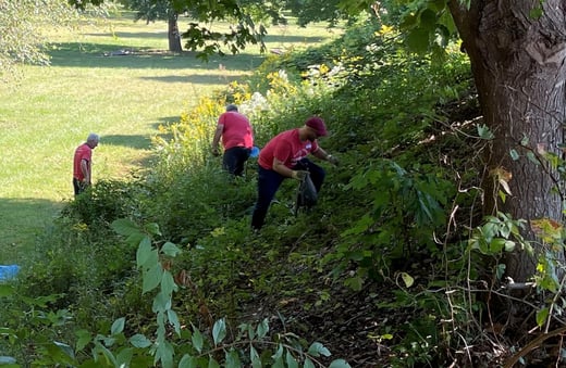 cleanup action1a