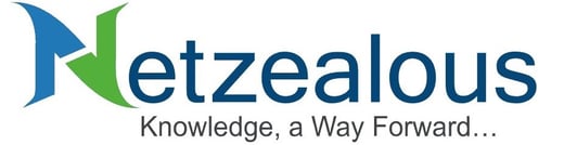netzealous logo