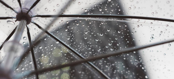 umbrella blog
